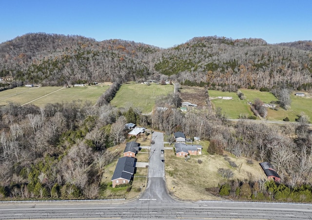 birds eye view of property with a mountain view