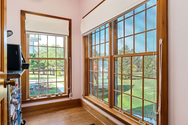 doorway featuring a wealth of natural light and wood-type flooring