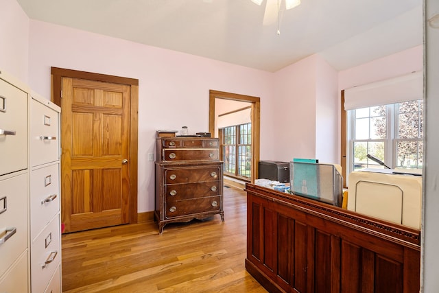 home office featuring ceiling fan and light wood-type flooring