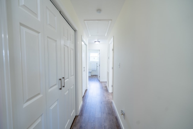 hallway featuring dark hardwood / wood-style flooring