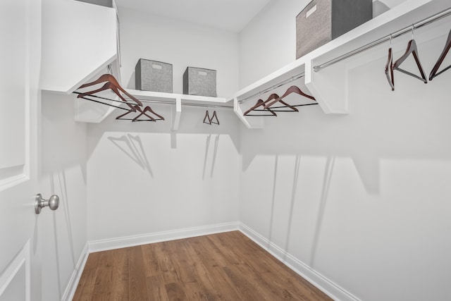 spacious closet with hardwood / wood-style flooring