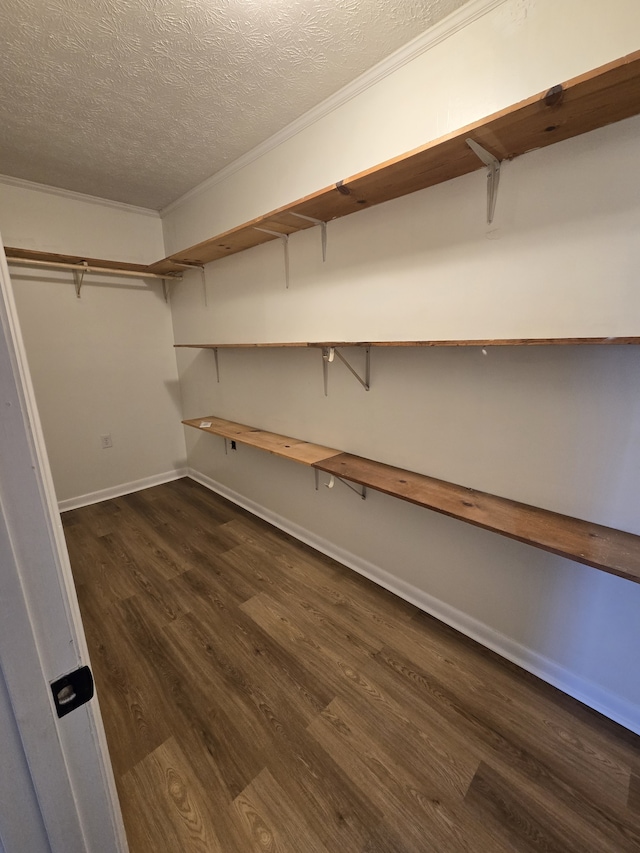 spacious closet with dark hardwood / wood-style floors