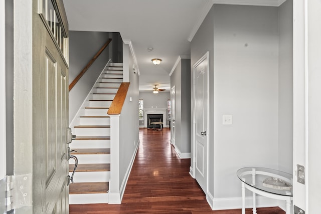 interior space with crown molding and dark wood-type flooring