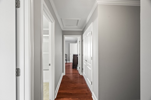 hallway featuring dark hardwood / wood-style floors and crown molding