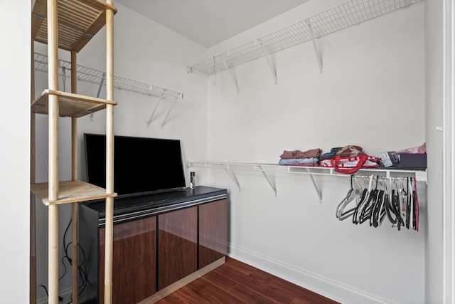 spacious closet featuring dark hardwood / wood-style floors