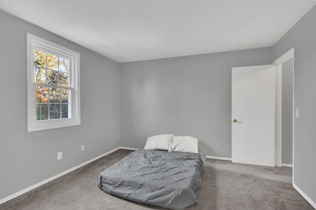 living area with carpet floors