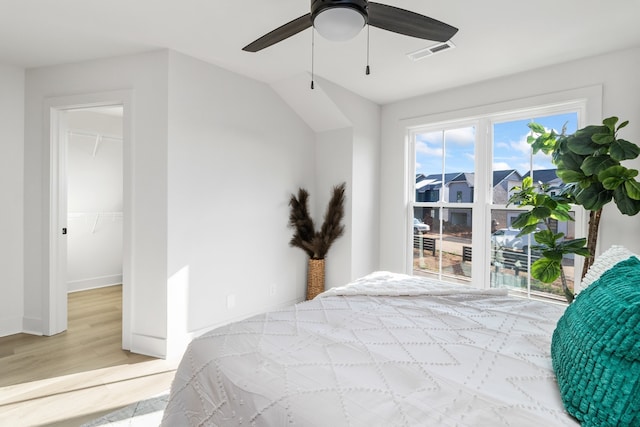 bedroom featuring a spacious closet, a closet, ceiling fan, and light wood-type flooring