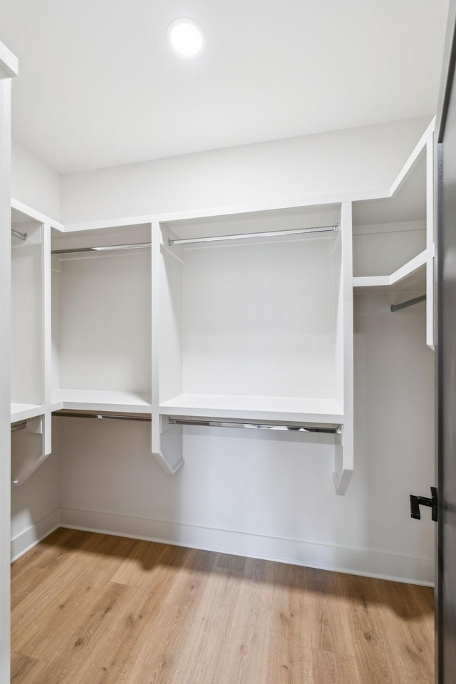 spacious closet with light wood-type flooring