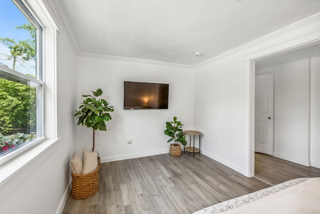 interior space featuring light hardwood / wood-style floors and ornamental molding