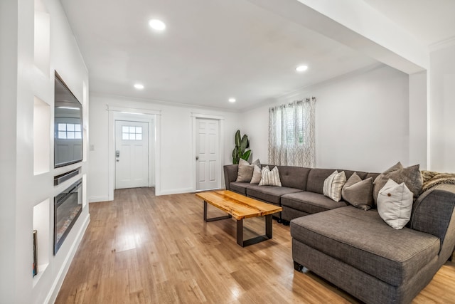 living room featuring light hardwood / wood-style floors and ornamental molding