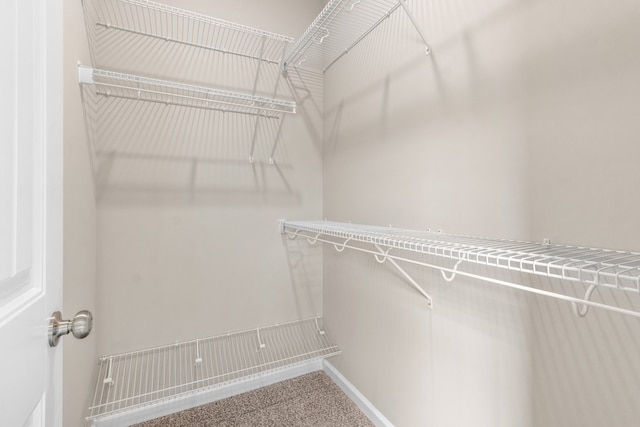 view of walk in closet