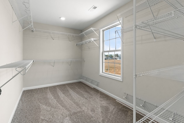 walk in closet featuring carpet floors