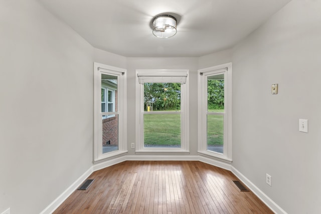 empty room featuring wood-type flooring