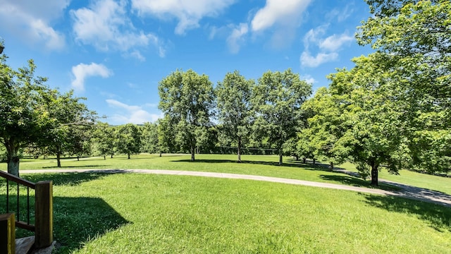 view of home's community with a yard