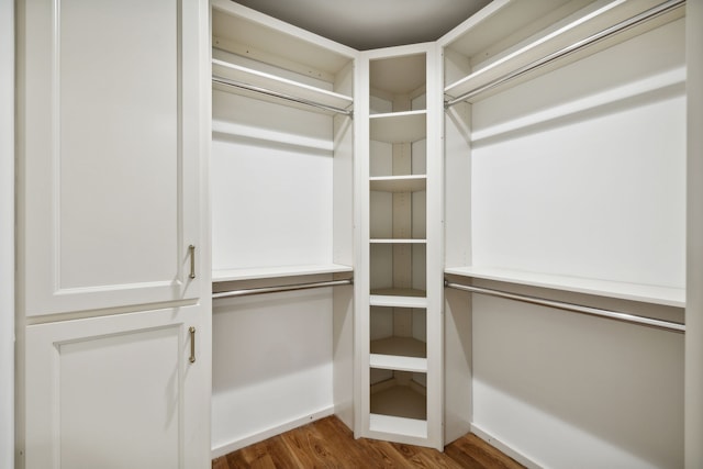 spacious closet featuring dark hardwood / wood-style floors