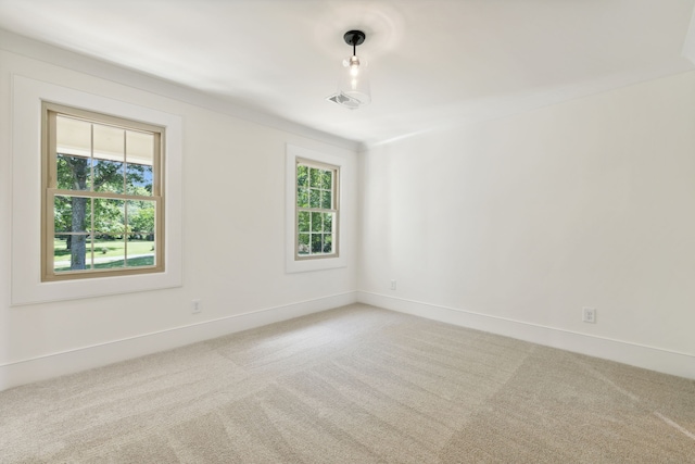 carpeted spare room featuring a wealth of natural light