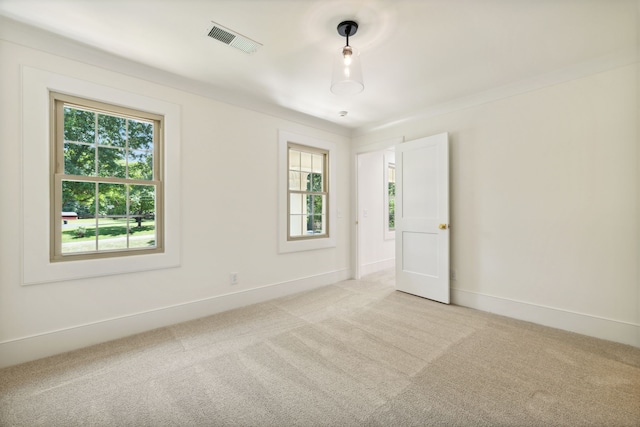 spare room with light carpet and a healthy amount of sunlight