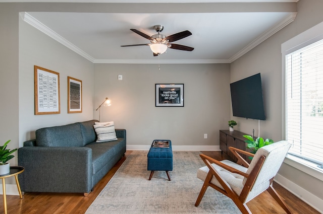 living room featuring hardwood / wood-style flooring, ceiling fan, and crown molding