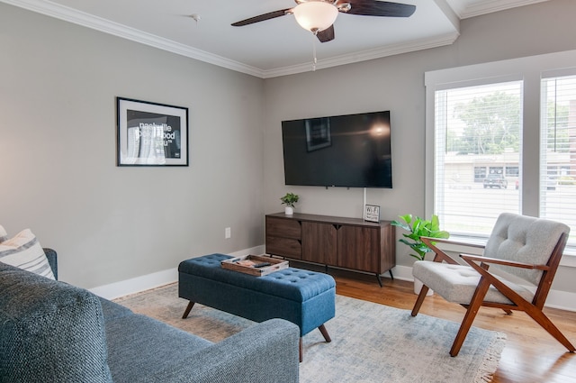 living room with ceiling fan, light hardwood / wood-style floors, and crown molding