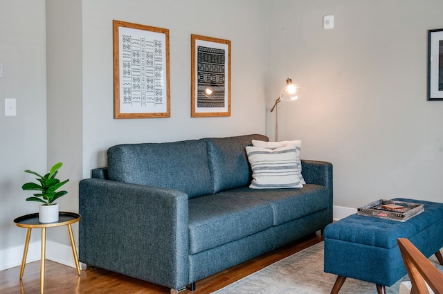 living room with hardwood / wood-style flooring