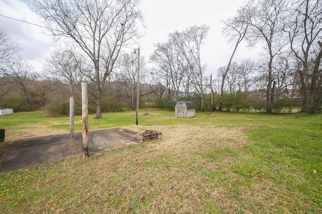 view of yard with a storage shed