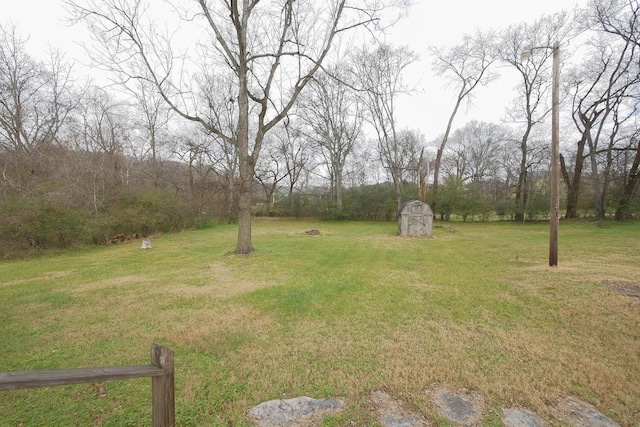 view of yard with a shed