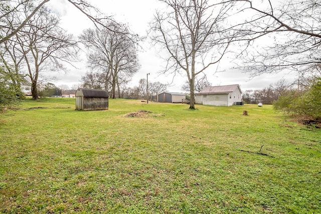 view of yard with a storage shed