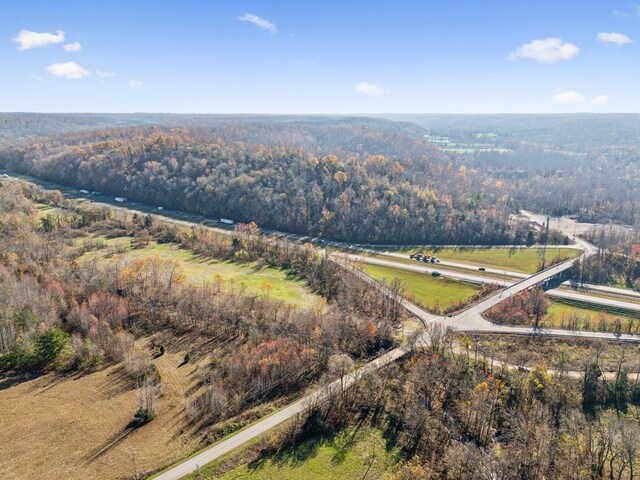 0 Tennessee River Blue Creek Rd, Waverly, TN 37185 - photo 5