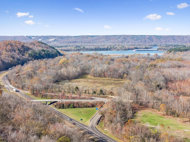 0 Tennessee River Blue Creek Rd, Waverly, TN 37185 - photo 8