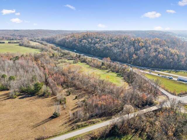 0 Tennessee River Blue Creek Rd, Waverly, TN 37185 - photo 4