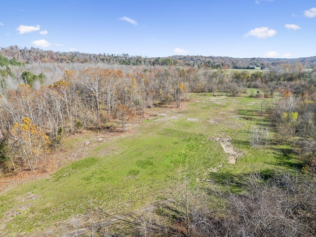 0 Tennessee River Blue Creek Rd, Waverly, TN 37185 - photo 15