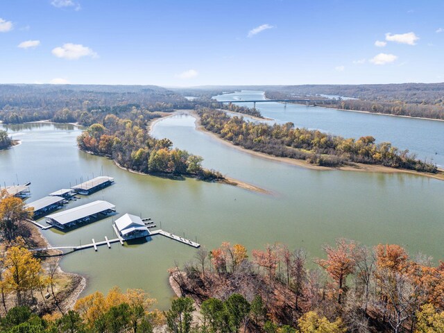 0 Tennessee River Blue Creek Rd, Waverly, TN 37185 - photo 18