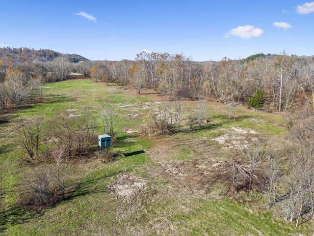 0 Tennessee River Blue Creek Rd, Waverly, TN 37185 - photo 11