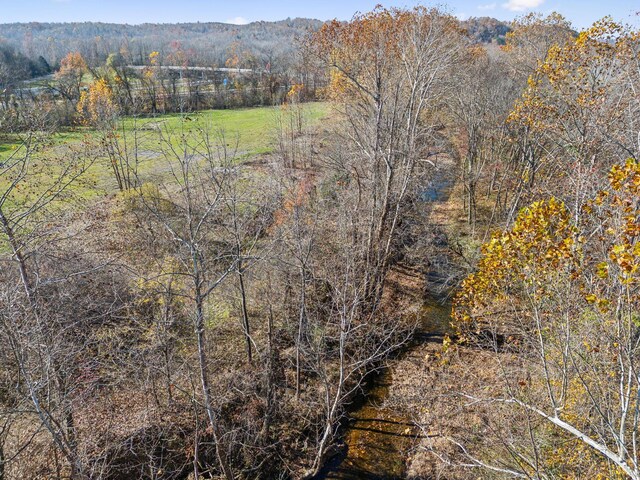 0 Tennessee River Blue Creek Rd, Waverly, TN 37185 - photo 17