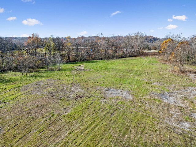 0 Tennessee River Blue Creek Rd, Waverly, TN 37185 - photo 13