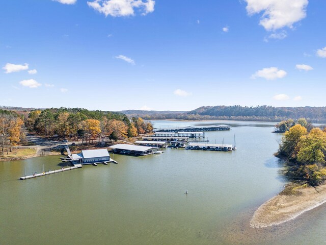 0 Tennessee River Blue Creek Rd, Waverly, TN 37185 - photo 19