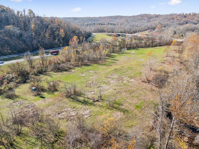 0 Tennessee River Blue Creek Rd, Waverly, TN 37185 - photo 10