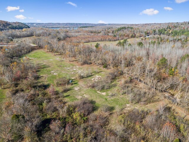 0 Tennessee River Blue Creek Rd, Waverly, TN 37185 - photo 9