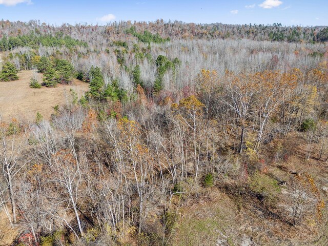 0 Tennessee River Blue Creek Rd, Waverly, TN 37185 - photo 16