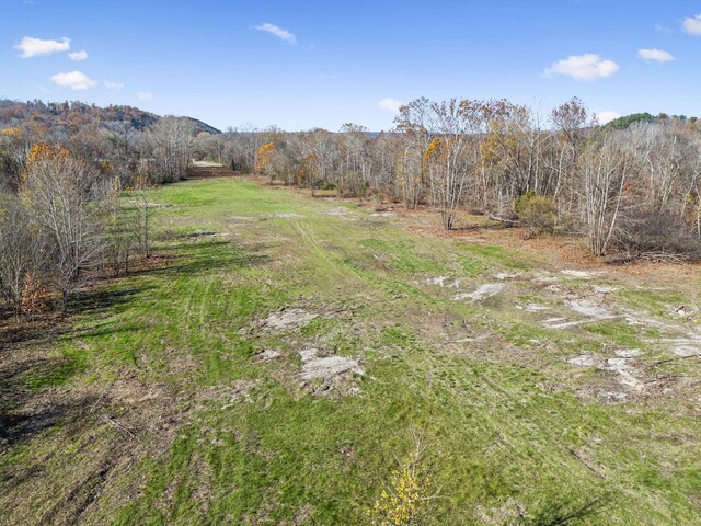 0 Tennessee River Blue Creek Rd, Waverly, TN 37185 - photo 12