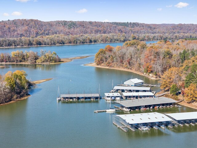 0 Tennessee River Blue Creek Rd, Waverly, TN 37185 - photo 20