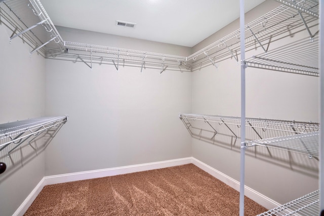 walk in closet featuring carpet flooring