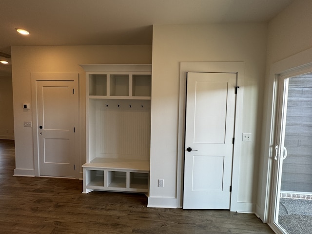 mudroom featuring dark hardwood / wood-style flooring