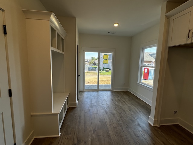 mudroom with dark hardwood / wood-style flooring