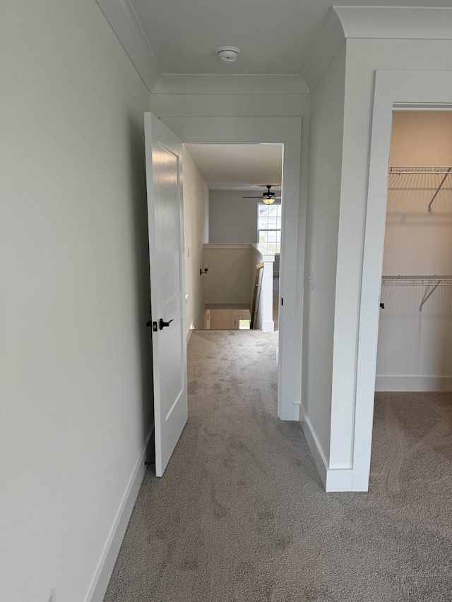 hallway featuring ornamental molding and carpet flooring