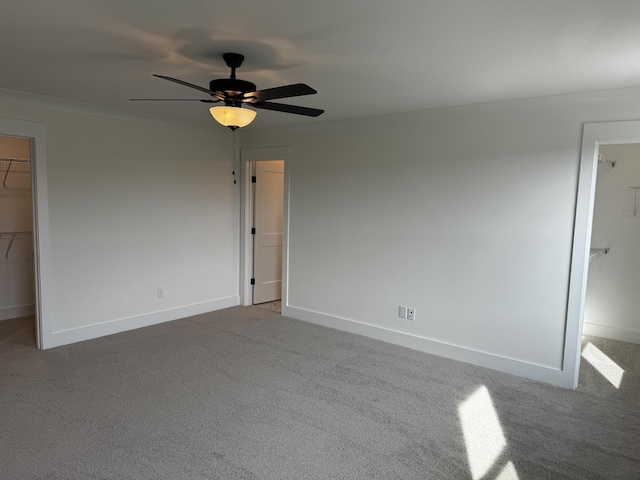 unfurnished bedroom with ceiling fan, carpet flooring, ornamental molding, a walk in closet, and a closet