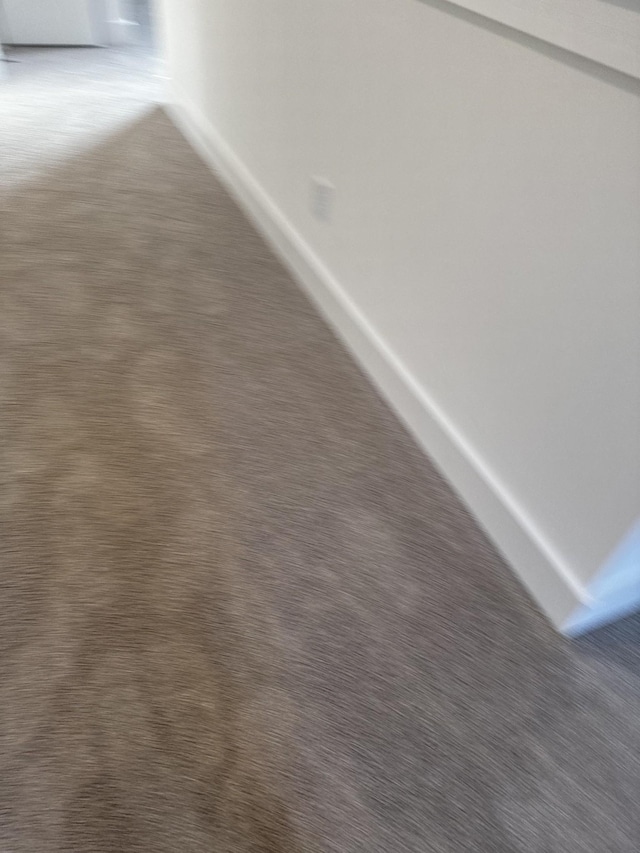 interior details with carpet floors