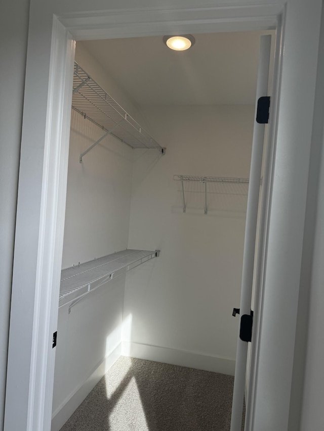 spacious closet with carpet