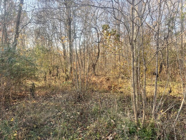 0 Mount Herman Rd, Southside, TN 37171 - photo 6