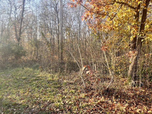0 Mount Herman Rd, Southside, TN 37171 - photo 7